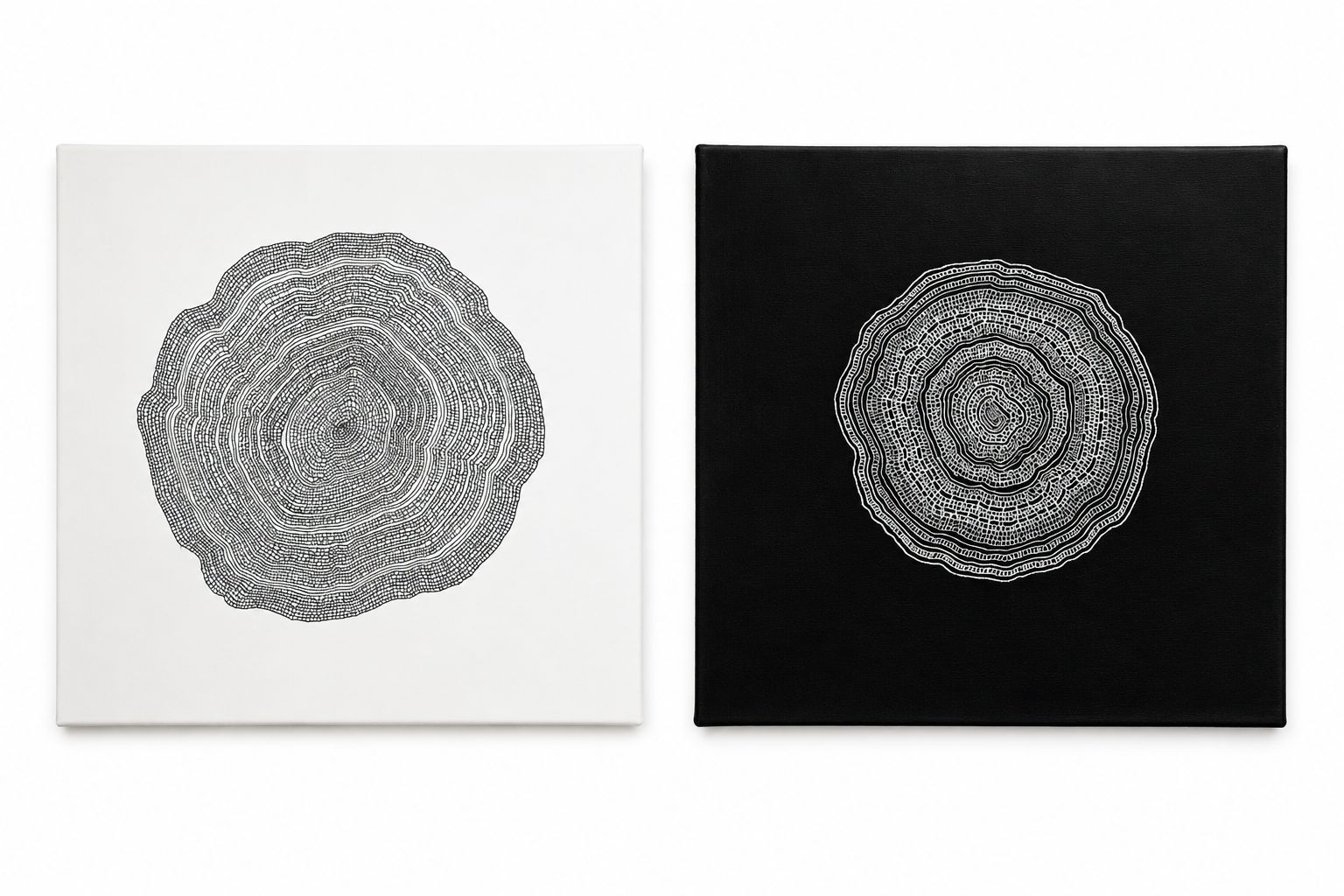 Diptych roots — Pen and acrylic on canvas · Size: 30 x 30 cm · SOLD